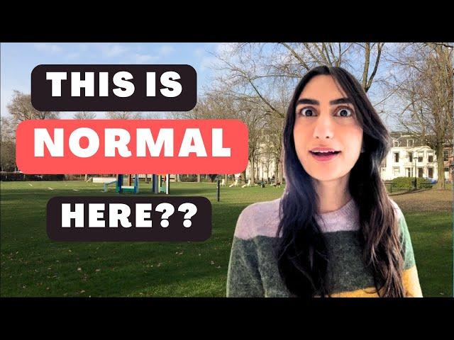 10 Things that are NORMAL in the Netherlands but are LUXURIES in America!