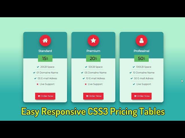 Awesome responsive pricing table using only HTML and CSS - make pricing table - Pure CSS Tutorials