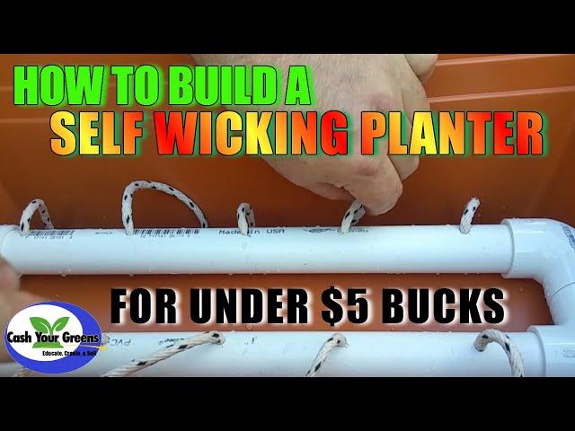 HOW TO BUILD A SELF WICKING PLANTER / Self Watering Pot for $5