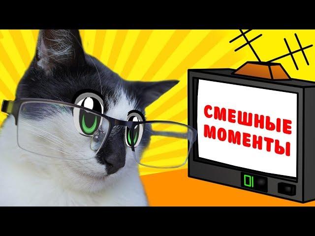 ЛУЧШИЕ ПРИКОЛЫ С КОТАМИ! КОТ и КОШКА МУРКА и  СМЕШНЫЕ МОМЕНТЫ СО СЪЕМОК! наши Приколы и Фейлы