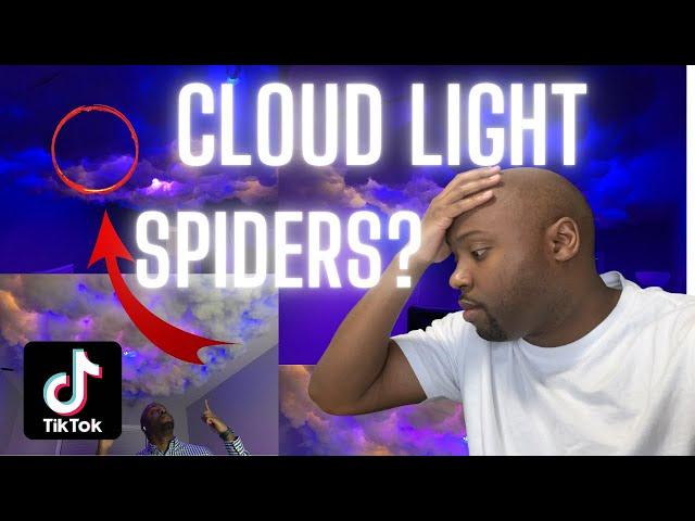 Tik Tok Cloud Light , spiders