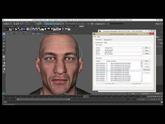 Faceware Retargeter 5.0: Character Setup
