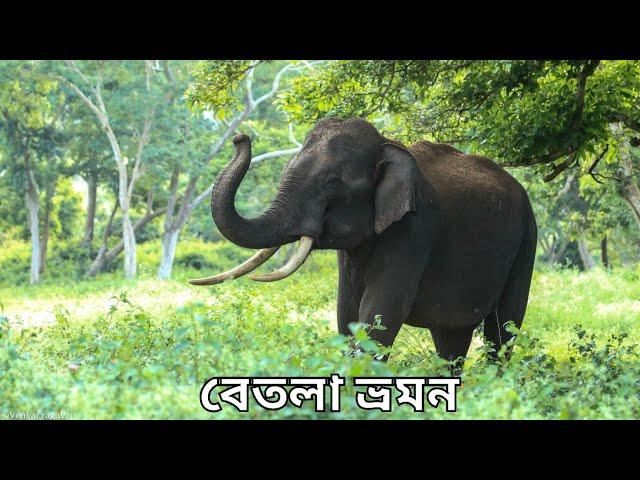 Betla National Park | Palamau Tiger Reserve Jungle Safari | Weekend tour from Kolkata