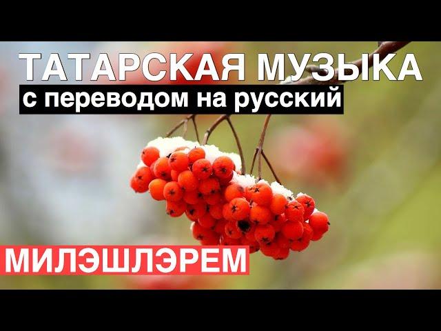 Татарские песни с переводом на русский I Миләшләрем - Рябины I Лэйна