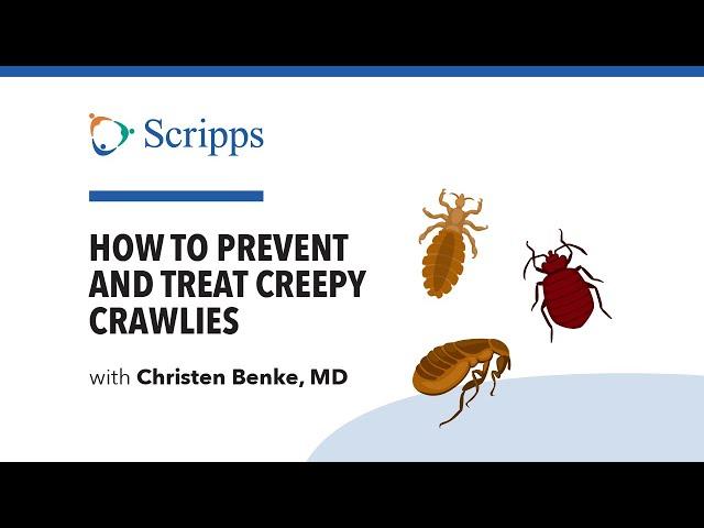 Creepy Crawlies: Lice, Fleas, Ticks and Bedbugs with Dr. Christen Benke | San Diego Health