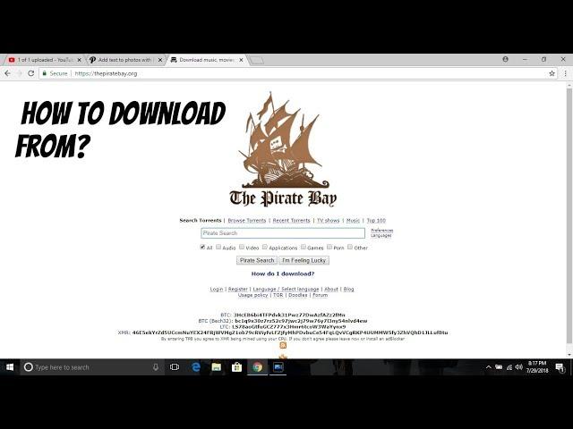 Download Content From The Pirate Bay | Torrent File | The Chaotic Wolf