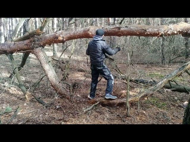 ночевка в лесу. Лесное убежище. Бушкрафт