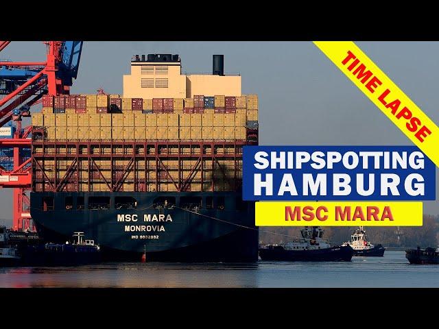 Shipspotting: Die MSC Mara wird in den Waltershofer Hafen bugsiert, Zeitraffer, Hamburg