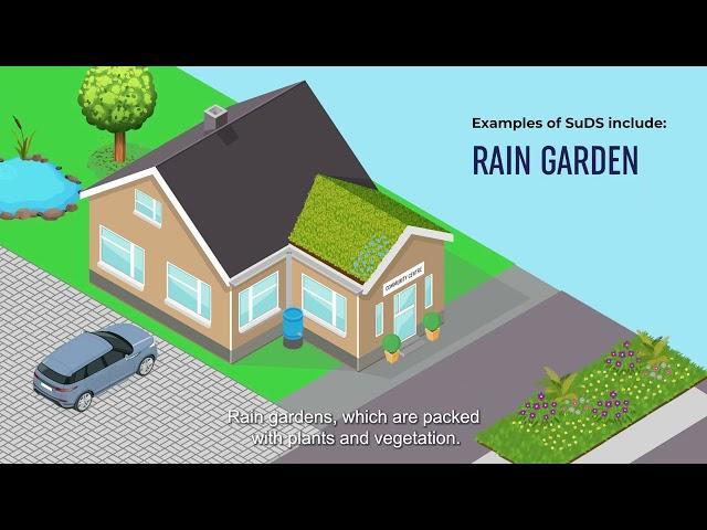 Living With Water - Sustainable Drainage Systems (SuDS)