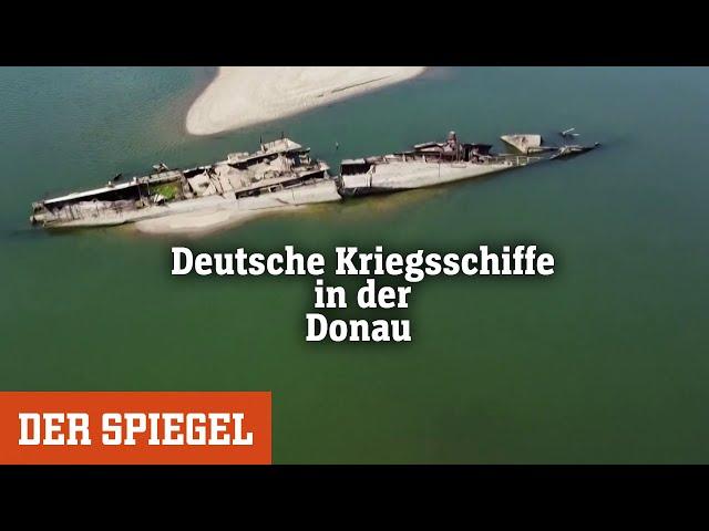 Schiffswracks in der Donau: Gefahr aus der Vergangenheit | DER SPIEGEL