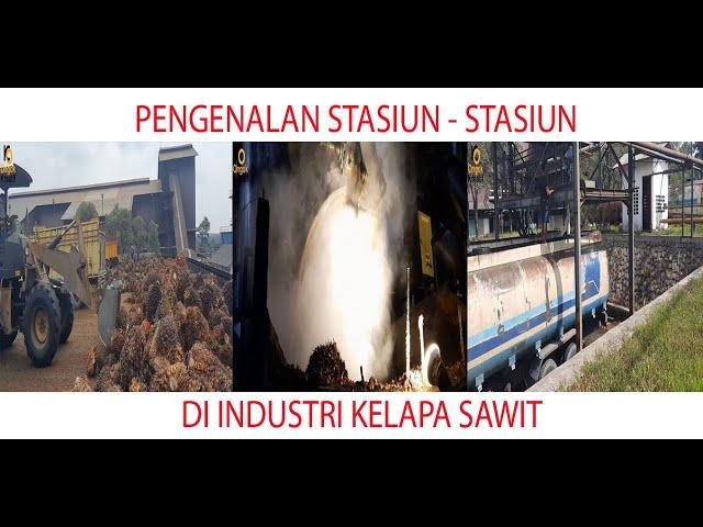 MENGENAL STASIUN - STASIUN DI INDUSTRI KELAPA SAWIT