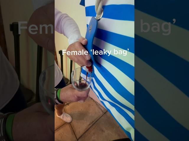 Woman’s idea of ‘leaky bag’ VS mans.