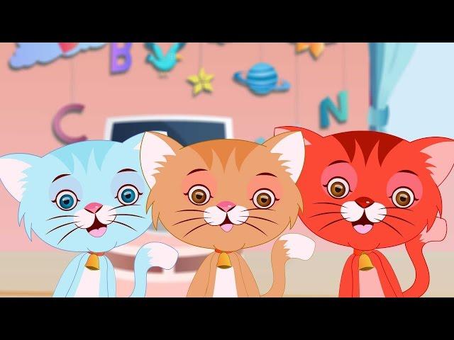 Three Little Kittens | Kindergarten Nursery Rhymes For Toddlers | Cartoons For Children by Kids Tv