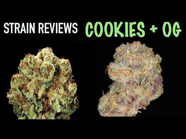 ANIMAL COOKIES X TRUE OG STRAIN REVIEWS