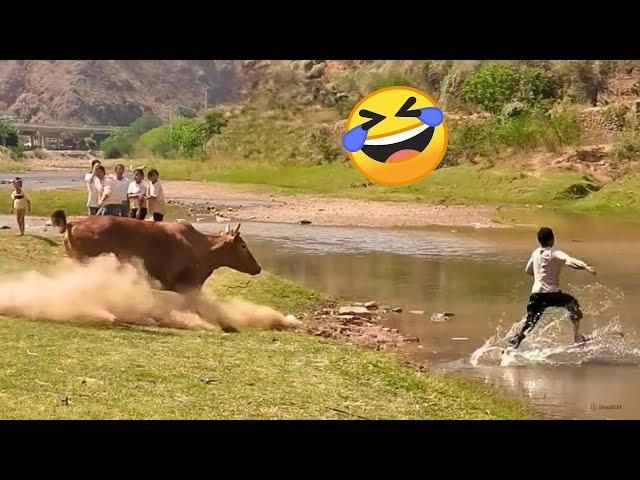 TRY NOT TO LAUGH  Best Funny Videos Compilation  Memes PART 228