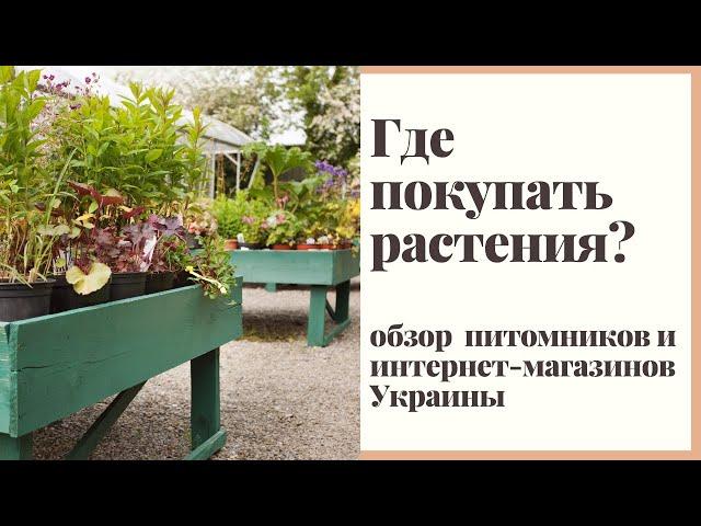 Где покупать растения в Украине? Обзор питомников и интернет-магазинов.
