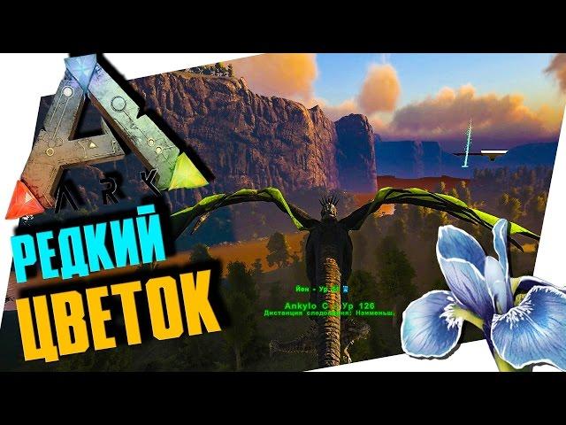 ARK: SURVIVAL EVOLVED - РЕДКИЙ ЦВЕТОК НА КАРТЕ THE VOLCANO, ДОБЫЧА МЕТАЛЛА