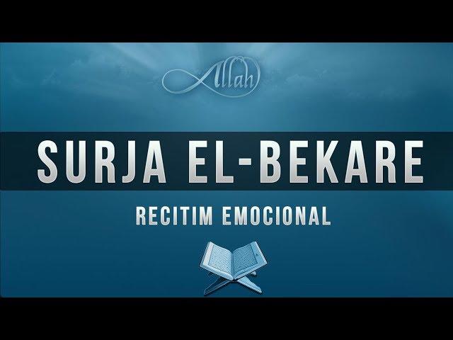 Surja el Bekare