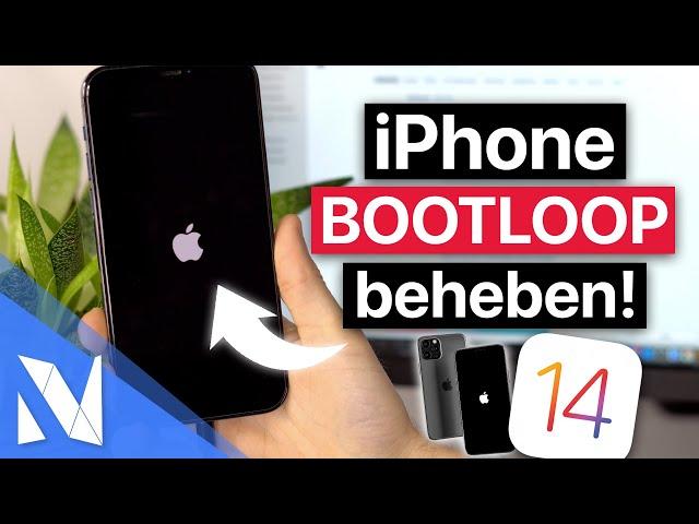 iPhone Bootloop beheben (Fix) mit iOS 14.x | OHNE Datenverlust! (2021) | Nils-Hendrik Welk