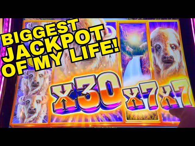 OMG!!!! BIGGEST JACKPOT ON YOUTUBE ON BUFFALO CHEIF PLAT! UNBELIEVABLE!  MY BIGGEST JACKPOT EVER!