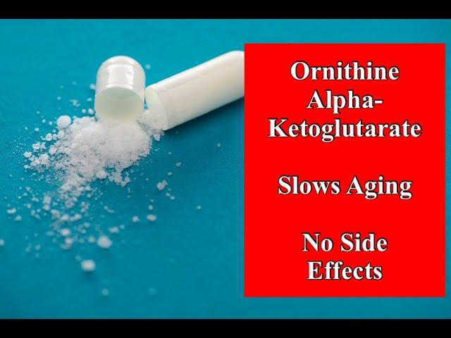 Ornithine Alpha-Ketoglutarate - Slows Aging and No Side-Effects