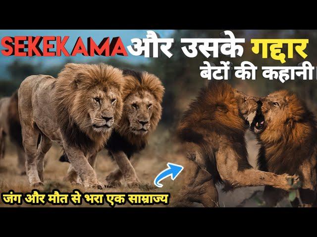 The Rise and Fall of King Sekekema and His Traitor Sons । Savage Kingdom। Facts Phylum