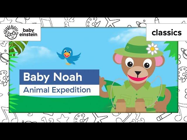 Toddlers Learn New Animals | Noah's Ark | Learning | Baby Noah: Animal Expedition | Baby Einstein