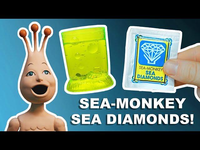 Sea-Monkeys Ocean Of Fun | RARE!