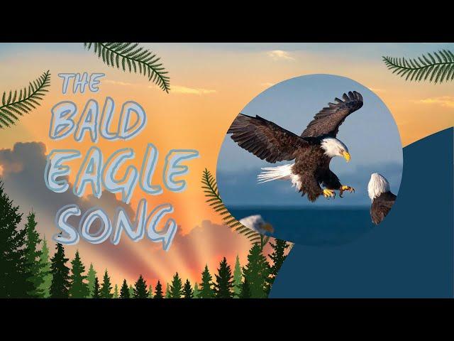 The Bald Eagle Song | Animal Songs for Kids | Bald Eagle Facts | Silly School Songs