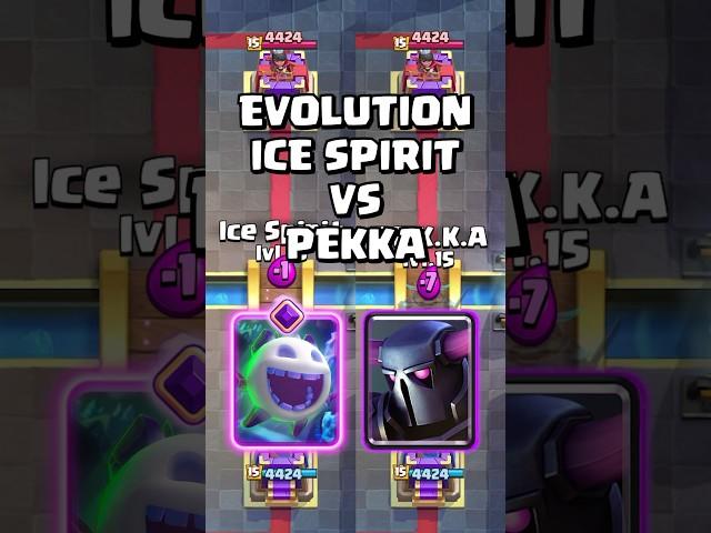 Evolution Ice Spirit VS Buffed Pekka  #clashroyale #shorts