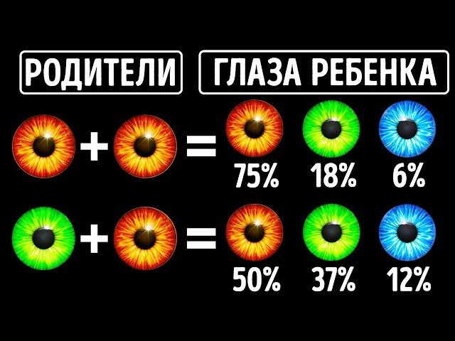 Как объяснить то, что вы не похожи на родителей