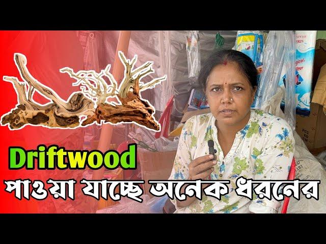 অনেক ধরনের Driftwood পাওয়া যাচ্ছে শ্রীরামপুর হাটে |   Serampore Pet Market Fish