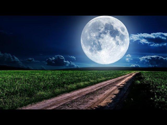 Полнолуние 1 августа 2023 года: что предвещает Осетровая Луна.