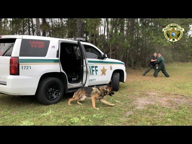 K9 Ory in action