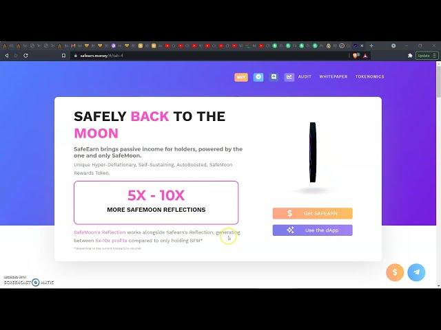   | SafeEarn Money Token | Tokenomics Explained |  