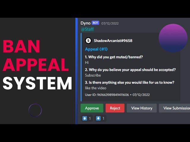 BAN APPEAL System | Dyno Bot | Discord 2022