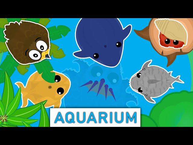 GOLDEN EAGLE'S AQUARIUM in MOPE.IO