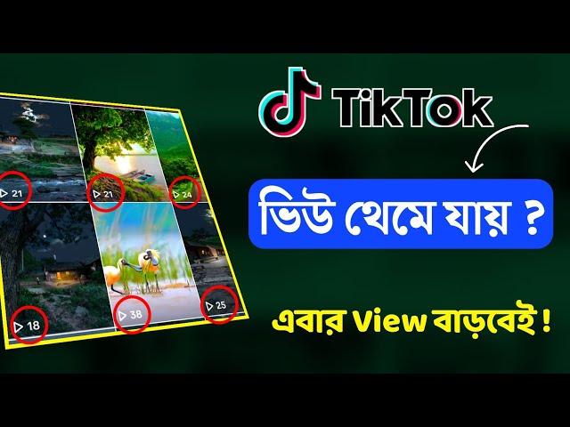 টিকটকে ভিউ হয় না কেন || টিকটকে ভিউ বাড়ানোর উপায়  