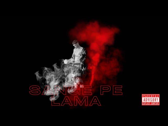 AlbertZT x casmiruu - SANGE PE LAMA ( Official Vizualizer )