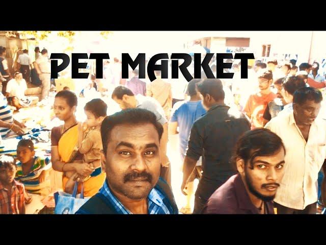 PET MARKET | BROADWAY CHENNAI..