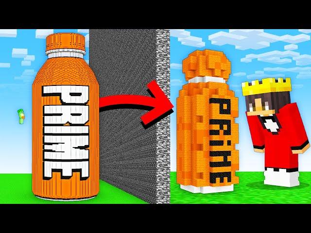 I Cheated with //TINY in Minecraft Build Battle