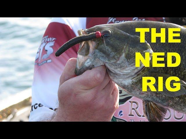 How To Fish The Ned Rig | Bass Fishing