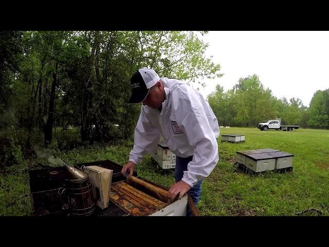 Sioux Honey Beekeeper Ryan Thomas