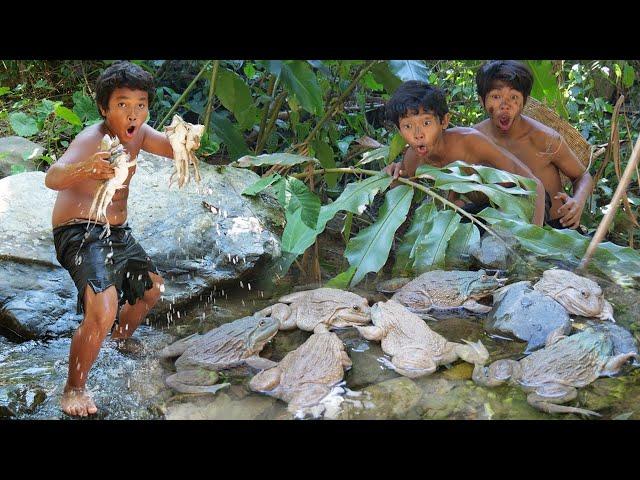 Primitive Wildlife - Cacth and roasted frogs in the rainforest - Eating delicious