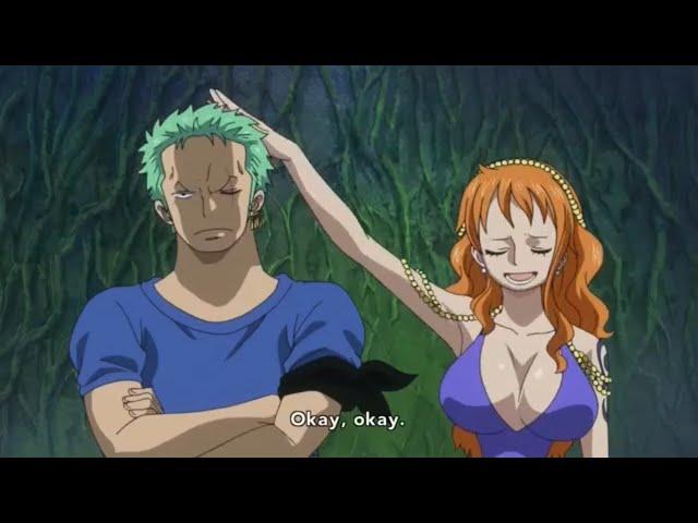 zoro is jealous of sanji  worth 2000 men