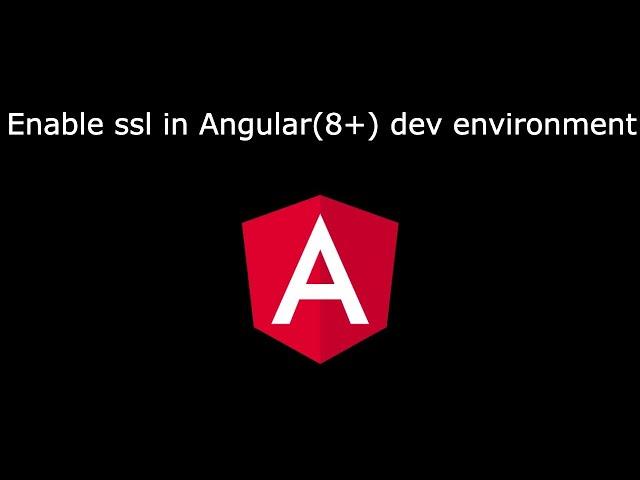 How to enable ssl in angular webapp development environment (version 8+)