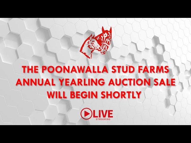 Poonawalla Stud Farms Annual Yearling Auction Sale 2023