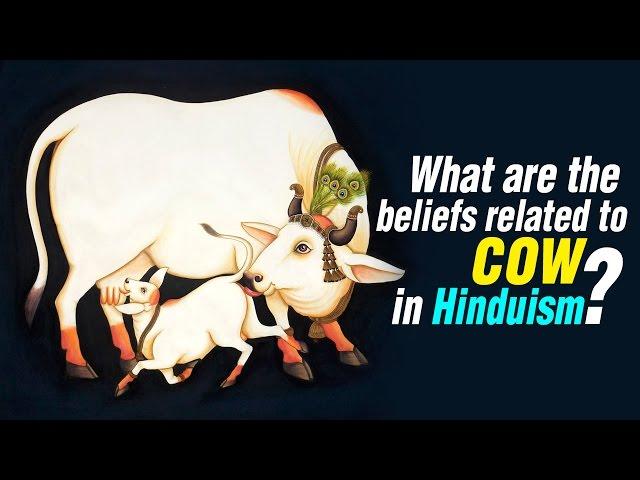 What are the beliefs related to cow in Hinduism | ARTHA