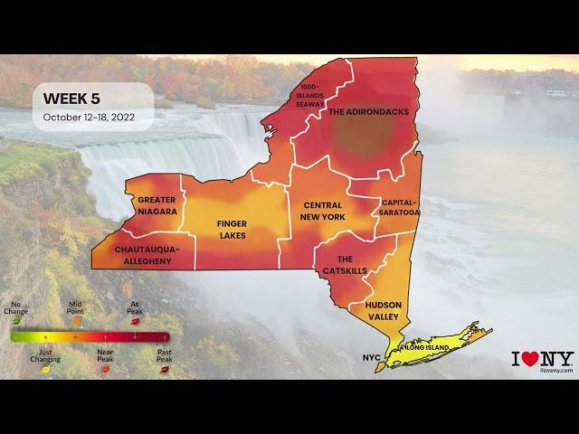 2022 New York State Fall Foliage Map Timelapse