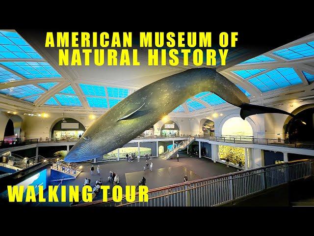 American Museum of Natural History  walking tour - New York City - Full Walkthrough